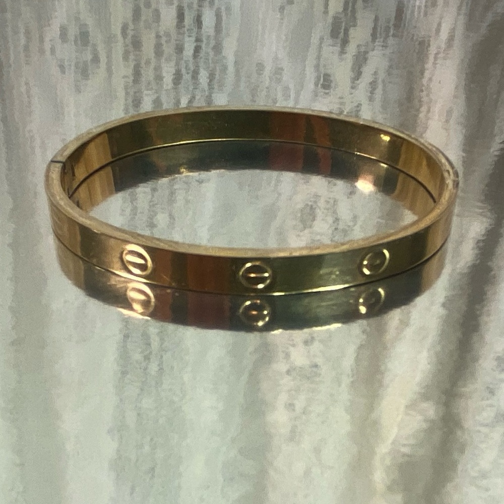 Gold Stainless Steel Screw Moffett Bangle